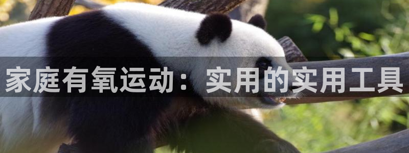 xk星空体育官方正版app集团简介:家庭有氧运动:实用的实用