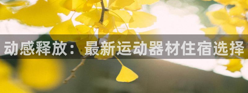 xk星空体育官方正版app官方:动感释放:最新运动器材住宿选